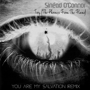 Troy (You Are My Salvation Remix)