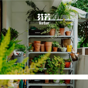 芬芳