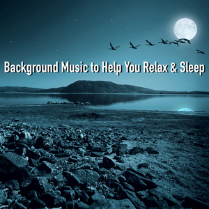 Toddlers (Relaxation)