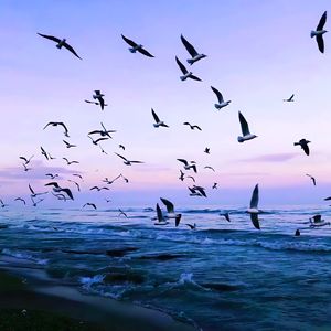 灰色轨迹 (DJ 0.95x)