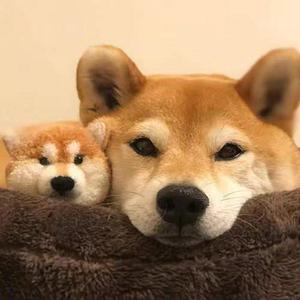 敦煌