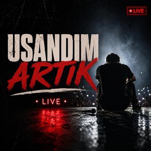 USANDIM ARTIK