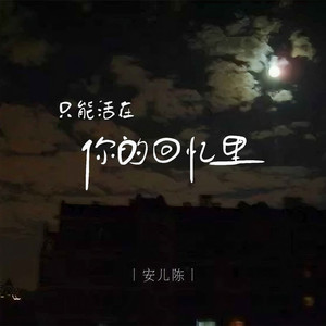 只能活在你的回忆里