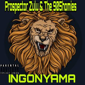 Ingonyama (feat. The 905homies)