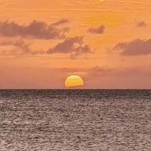 浅橘色孤岛（翻自 青你2）