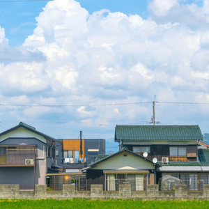 セミの鳴き声にさようなら