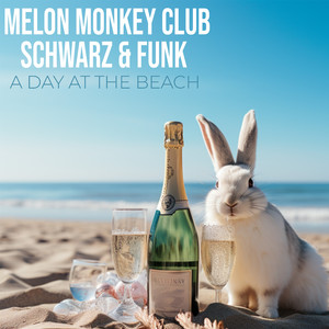 A Day at the Beach (Schwarz & Funk Remix)