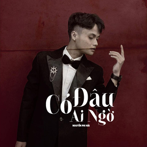 Có Ai Đâu Ngờ - Lofi