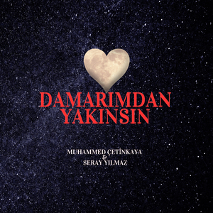 Damarımdan Yakınsın