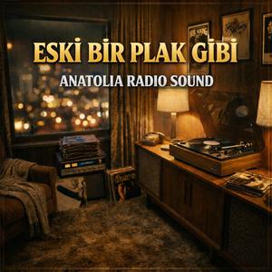 ESKİ BİR PLAK GİBİ
