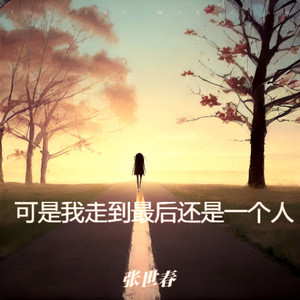 可是我走到最后还是一个人