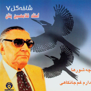 Daram Gham - e - Jankahi I