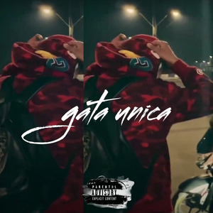 Gata Unica