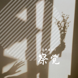 察觉（翻自 音格概念/逸霄）