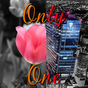onlyone (night)