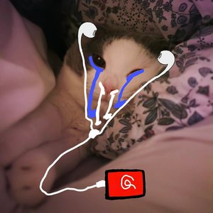 车载重低音DJ·3D环绕颅内测试音