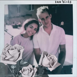 Love Birds