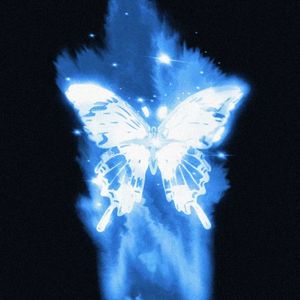 楼顶上的小斑鸠