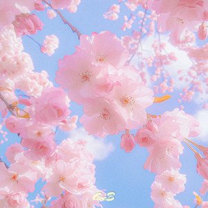 桜、君と