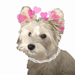 一 只 单 身 修 勾 儿：