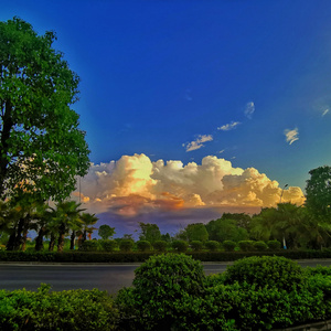 如果没有她 (旋律)