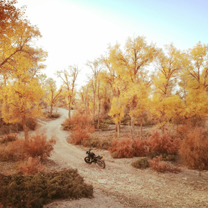 丝路楼兰（楼兰新闻网宣传主题曲）