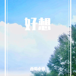 老伙计（纯音乐）