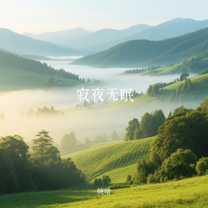 寂夜无眠