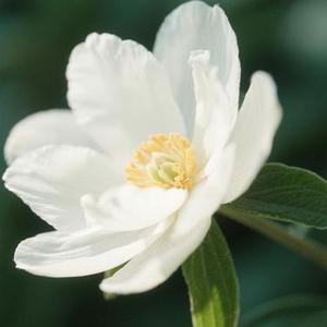 风景旧曾谙 (Cover 郭静 & 韦礼安)