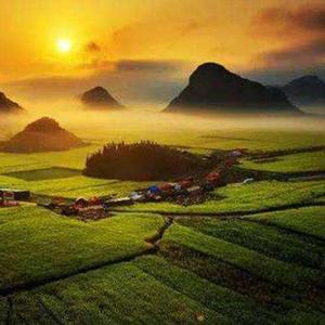 如春作品慈母手中线孟郊