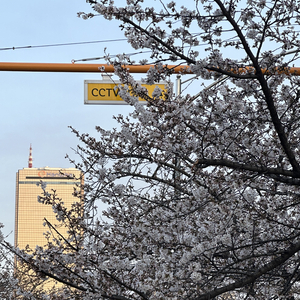 相遇的意义 CARAT ver.