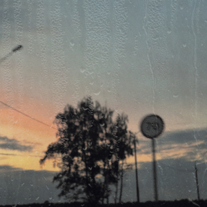 В пятницу под дождем