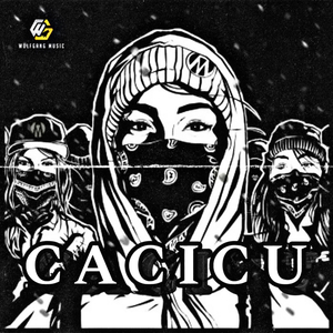 Cacicu