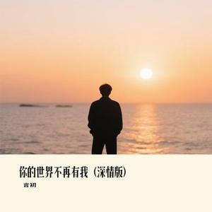 你的世界不再有我