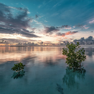 Summer Wave （Downtempo Remix）