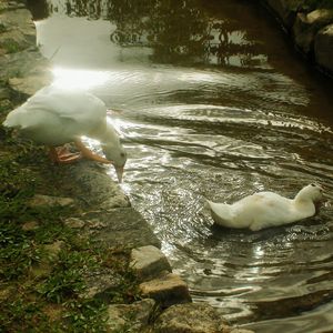 想带你去看最遥远的屿（翻自 陈嘉俊是这个嘉）