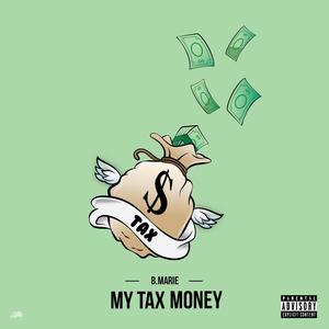 My Tax Money