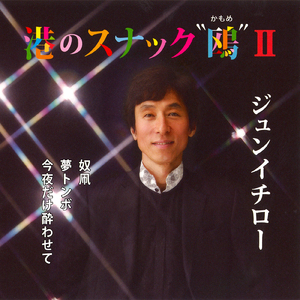 今夜だけ酔わせて（カラオケ）