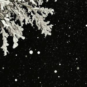 你我的青春也悄然离世prod by Rising Beat