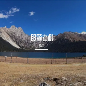 那儿棵老树
