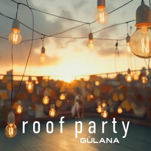 Roof party
