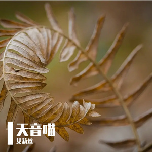 爱不能替代人类创作其一 伴奏