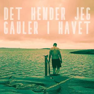 TorDuMåTaPillaDi (Sladrehjerte infringement mix)