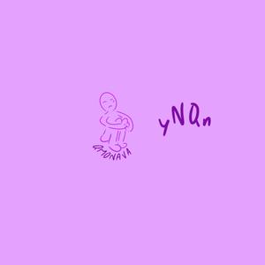 yNQn