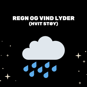 Regnestorm Og Fjernt Torden