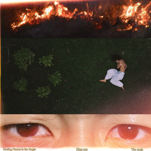 丛林里最明亮安静的焰火