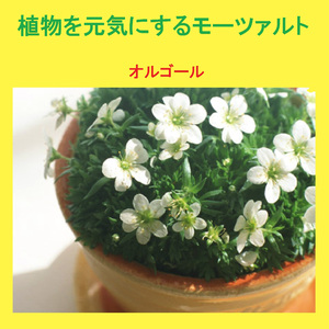 モーツァルト：クラリネット協奏曲イ長調 (オルゴール)