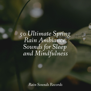 Wild Whirlwind Waltz