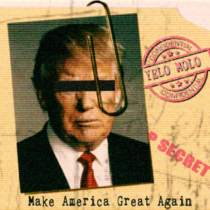 Make America Great Again