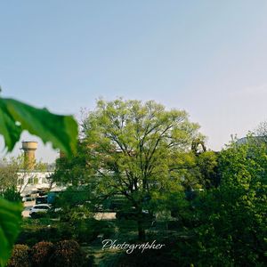 原来最痛是 差一步的勇气